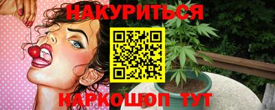 гидра Кингисепп