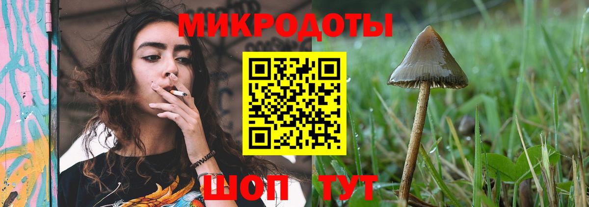 Псилоцибиновые грибы Magic Shrooms  Вход с VPN  Карачаевск  Галлюциногенные грибы Magic Shrooms 